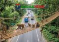 মহাসড়কের মধুপুর বনাঞ্চলে বন্যপ্রাণীর চলাচলে পাঁচটি রোপওয়ে নির্মাণ