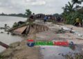 গোপালপুরে যমুনা নদী রক্ষা বাঁধের ৬৫ মিটার এলাকায় ভাঙ্গন অব্যাহত