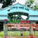গোপালপুরে এইচএসসি’র ২১ পরীক্ষার্থীর ওএমআর শীট হারিয়েছে ॥ আহ্বায়ককে অব্যাহতি