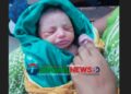 বাসাইলের কাশিলের রাস্তার পাশে জঙ্গলে পরিত্যক্ত অবস্থায় নবজাতক উদ্ধার