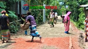 নাগরপুরে সড়ক নির্মাণে অনিয়ম ওঠায় এলজিইডির নির্দেশে পুণরায় কাজ শুরু