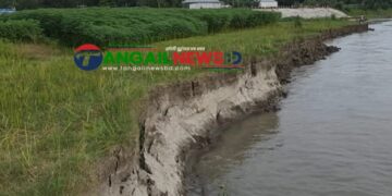 গোপালপুরে যমুনার ভাঙনে বিলীন বসতভিটা আবাদি জমি ॥ হুমকিতে বন্যা নিয়ন্ত্রণ বাঁধ