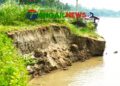 কালিহাতীর দশকিয়ায় তীব্র ভাঙ্গন আতঙ্কে ১৫ গ্রামের হাজারো মানুষ