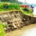 কালিহাতীর দশকিয়ায় তীব্র ভাঙ্গন আতঙ্কে ১৫ গ্রামের হাজারো মানুষ