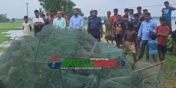 গোপালপুরের ডগা বিলে অভিযানে অবৈধ চায়না জাল জব্দ