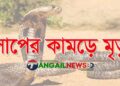 সখীপুরে বিষধর সাপের কামড়ে নারীর মৃত্যু