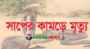 সখীপুরে বিষধর সাপের কামড়ে নারীর মৃত্যু
