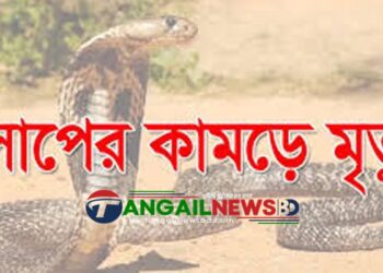 সখীপুরে বিষধর সাপের কামড়ে নারীর মৃত্যু