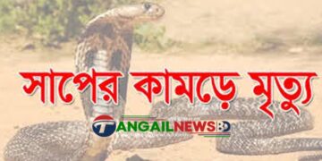সখীপুরে বিষধর সাপের কামড়ে নারীর মৃত্যু