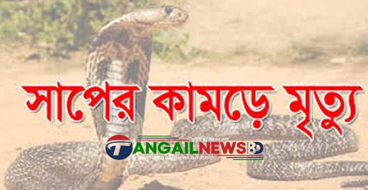 সখীপুরে বিষধর সাপের কামড়ে নারীর মৃত্যু