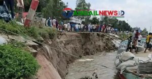 গোপালপুরে যমুনা নদীর ভাঙনের কারণে ৫০ গ্রাম প্লাবিত হওয়ার শঙ্কা