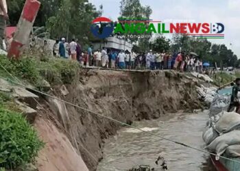 গোপালপুরে যমুনা নদীর ভাঙনের কারণে ৫০ গ্রাম প্লাবিত হওয়ার শঙ্কা