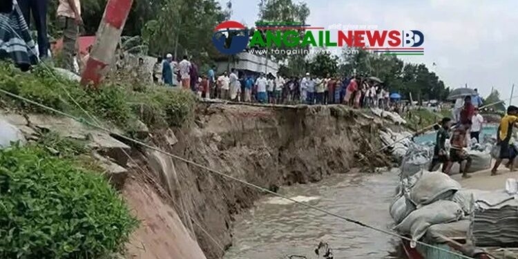 গোপালপুরে যমুনা নদীর ভাঙনের কারণে ৫০ গ্রাম প্লাবিত হওয়ার শঙ্কা