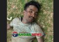 মির্জাপুরে দিনে-দুপুরে সরকারি প্রতিষ্ঠানে ডাকাতির চেষ্টাকালে গণপিটুনিতে ডাকাত নিহত