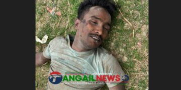 মির্জাপুরে দিনে-দুপুরে সরকারি প্রতিষ্ঠানে ডাকাতির চেষ্টাকালে গণপিটুনিতে ডাকাত নিহত