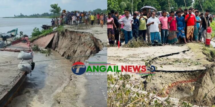 গোপালপুরের শাখারিয়া স্লুইসগেট অংশে প্রায় ১০০ মিটার বাঁধ বিধ্বস্ত