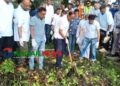 পরিচ্ছন্ন ডিসি লেক গড়তে নিজ হাতে কচুরিপানা পরিষ্কার করলেন- প্রতিমন্ত্রী টুকু