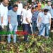 পরিচ্ছন্ন ডিসি লেক গড়তে নিজ হাতে কচুরিপানা পরিষ্কার করলেন- প্রতিমন্ত্রী টুকু