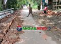 নাগরপুরের মোকনায় নিম্নমানের ইট দিয়ে রাস্তা নির্মাণের অভিযোগ