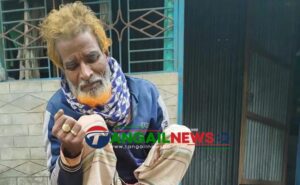 গোপালপুরে ধানক্ষেতে কৃষক আনোয়ারের মৃত্যু