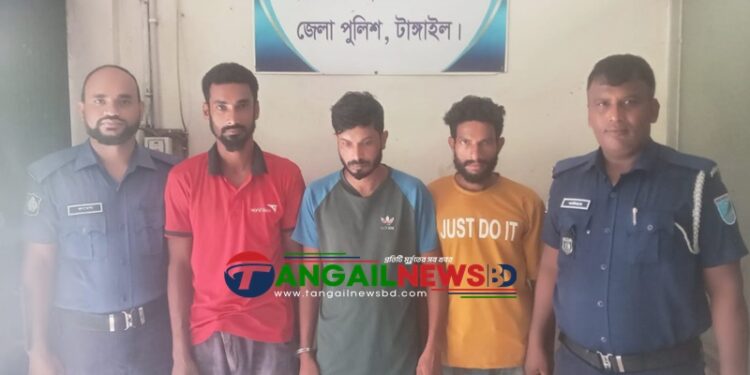 বাসাইলের কাঞ্চনপুরে ইয়াবাসহ তিন মাদক কারবারিকে আটক