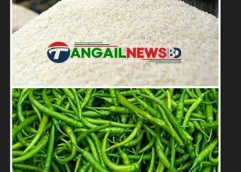 টাঙ্গাইলের বাজারে পোলাও চাল কেজি ২২০ টাকা ॥ কাঁচামরিচ ৪০০ টাকা