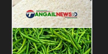 টাঙ্গাইলের বাজারে পোলাও চাল কেজি ২২০ টাকা ॥ কাঁচামরিচ ৪০০ টাকা