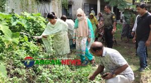 উপজেলা স্বাস্থ্য কমপ্লেক্সে কালিহাতী পৌরসভার পরিচ্ছন্নতা অভিযান