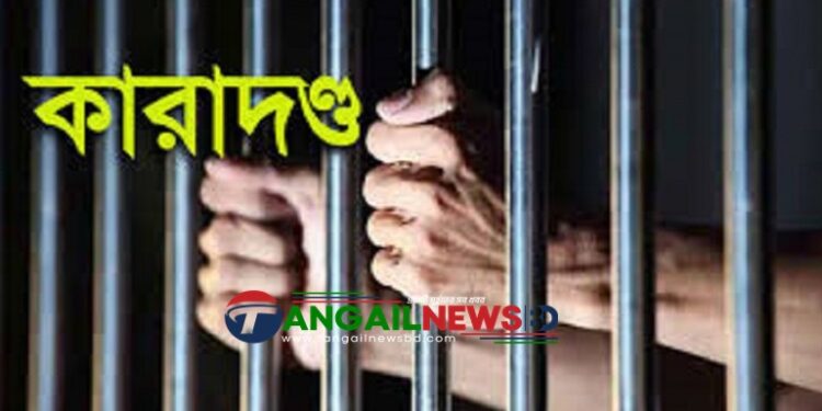 কালিহাতীতে মাদকাসক্তকে এক মাসের বিনাশ্রম কারাদণ্ড