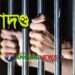 কালিহাতীতে মাদকাসক্তকে এক মাসের বিনাশ্রম কারাদণ্ড