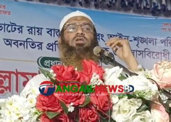 উপদেষ্টা রিজওয়ানারা ষড়যন্ত্র করে বিএনপিকে মেজরিটি দিয়েছে- মামুনুল হক