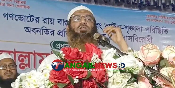 উপদেষ্টা রিজওয়ানারা ষড়যন্ত্র করে বিএনপিকে মেজরিটি দিয়েছে- মামুনুল হক