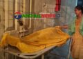 সখীপুরে খাবার সময় গলায় রুটি আটকে কিশোরীর মৃত্যু
