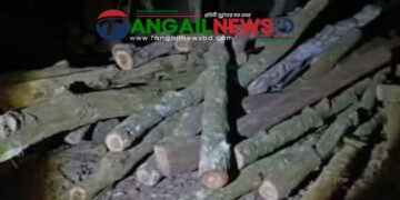 সখীপুরে সাবেক কাউন্সিলর এখলাসের বাড়িতে বনের ৫৫টি গাছের গুঁড়ি উদ্ধার