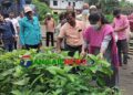ডেঙ্গুর বিরুদ্ধে পরিচ্ছন্নতায় মাঠে নেমেছে কালিহাতী পৌরসভা