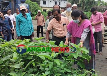 ডেঙ্গুর বিরুদ্ধে পরিচ্ছন্নতায় মাঠে নেমেছে কালিহাতী পৌরসভা