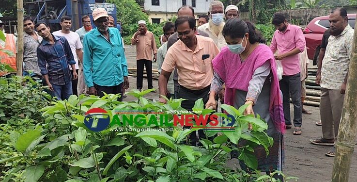 ডেঙ্গুর বিরুদ্ধে পরিচ্ছন্নতায় মাঠে নেমেছে কালিহাতী পৌরসভা