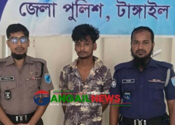 মির্জাপুরে ছাত্রীর মায়ের মামলায় ইভটিজার ইসমাইল গ্রেপ্তার