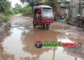 দেলদুয়ার-লাউহাটী-সাটুরিয়া মহাসড়ক টাঙ্গাইল অংশের কাজ যেন শেষই হচ্ছে না