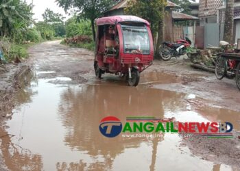 দেলদুয়ার-লাউহাটী-সাটুরিয়া মহাসড়ক টাঙ্গাইল অংশের কাজ যেন শেষই হচ্ছে না