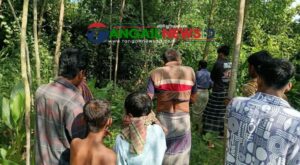 সখীপুরে নিখোঁজের ৩ দিন পর জঙ্গল থেকে নারীর অর্ধগলিত মরদেহ উদ্ধার