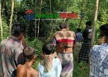 সখীপুরে নিখোঁজের ৩ দিন পর জঙ্গল থেকে নারীর অর্ধগলিত মরদেহ উদ্ধার