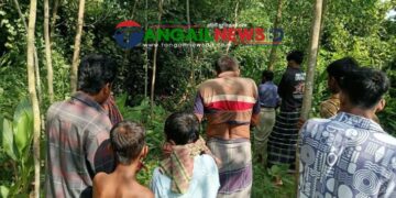 সখীপুরে নিখোঁজের ৩ দিন পর জঙ্গল থেকে নারীর অর্ধগলিত মরদেহ উদ্ধার