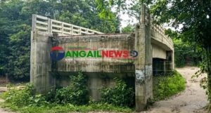 নাগরপুরে খাস ঘুনিপাড়ায় প্রায় ৪ কোটি টাকার সেতু ১৫ গ্রামের কোন কাজেই আসছে না