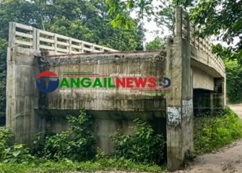 নাগরপুরে খাস ঘুনিপাড়ায় প্রায় ৪ কোটি টাকার সেতু ১৫ গ্রামের কোন কাজেই আসছে না