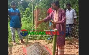 সখীপুরে সাপের কামড়ে দাফনের দুদিন পর হাসনাকে ‘জীবিত’ করার চেষ্টা!