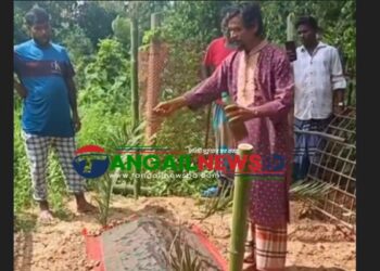 সখীপুরে সাপের কামড়ে দাফনের দুদিন পর হাসনাকে ‘জীবিত’ করার চেষ্টা!