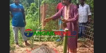 সখীপুরে সাপের কামড়ে দাফনের দুদিন পর হাসনাকে ‘জীবিত’ করার চেষ্টা!