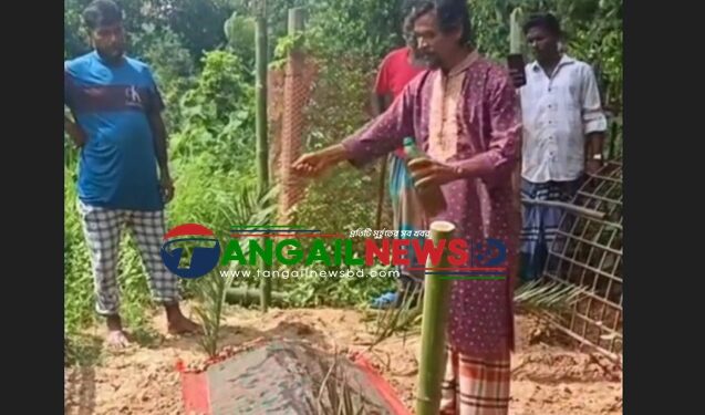 সখীপুরে সাপের কামড়ে দাফনের দুদিন পর হাসনাকে ‘জীবিত’ করার চেষ্টা!