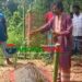 সখীপুরে সাপের কামড়ে দাফনের দুদিন পর হাসনাকে ‘জীবিত’ করার চেষ্টা!